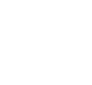 black and white illustration of a mushroom depicting three unique features