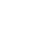 sketch of two mushrooms on a black background representing various culinary uses including 11 popular mushroom dishes