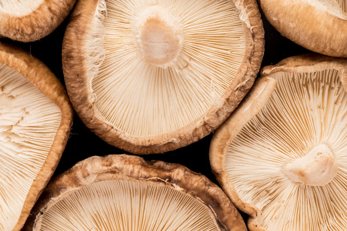 sliced mushrooms presenting two rich textures and colors suitable for culinary dishes and gourmet recipes